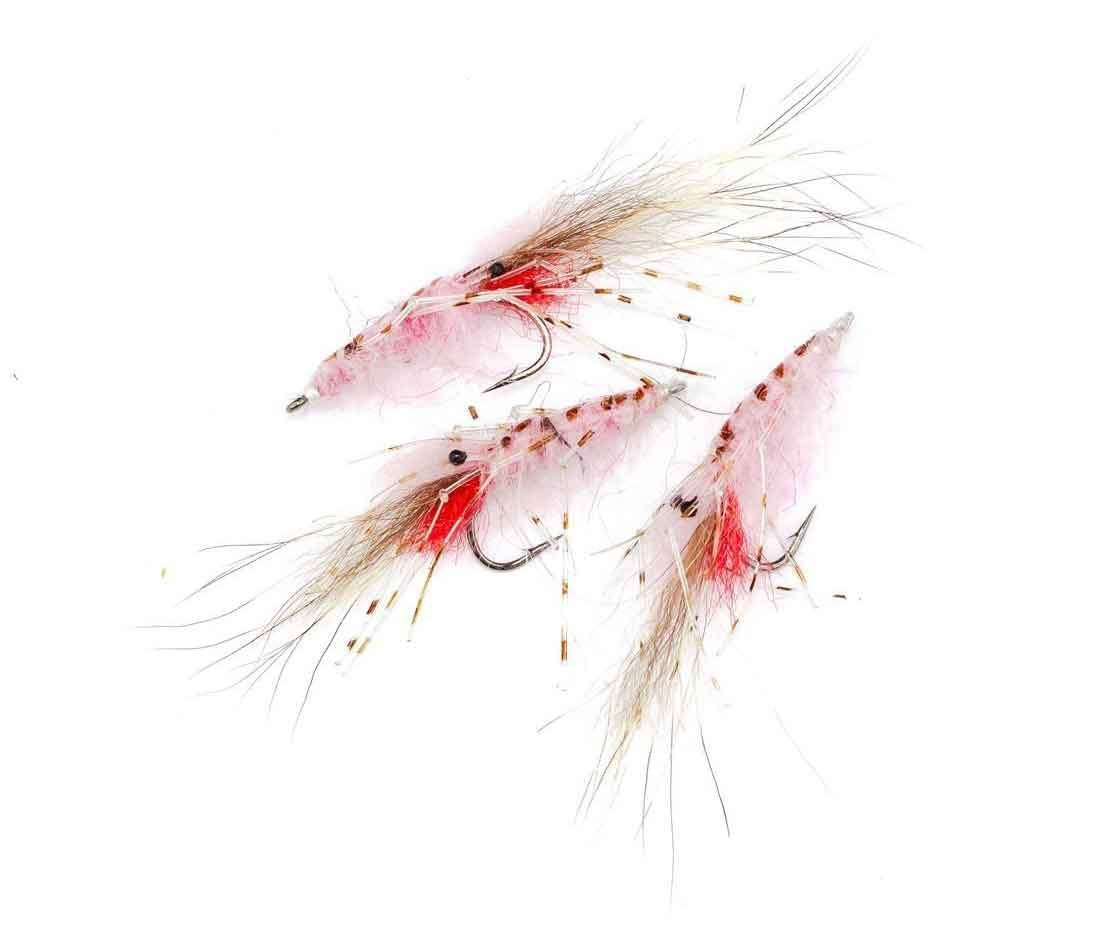 Leo Shrimp Pink