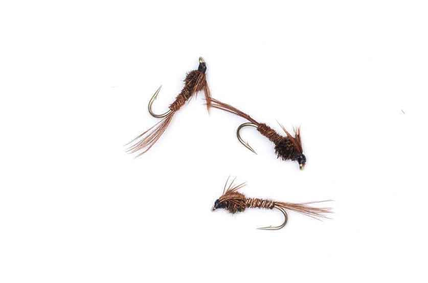 Pheasant Tail #14