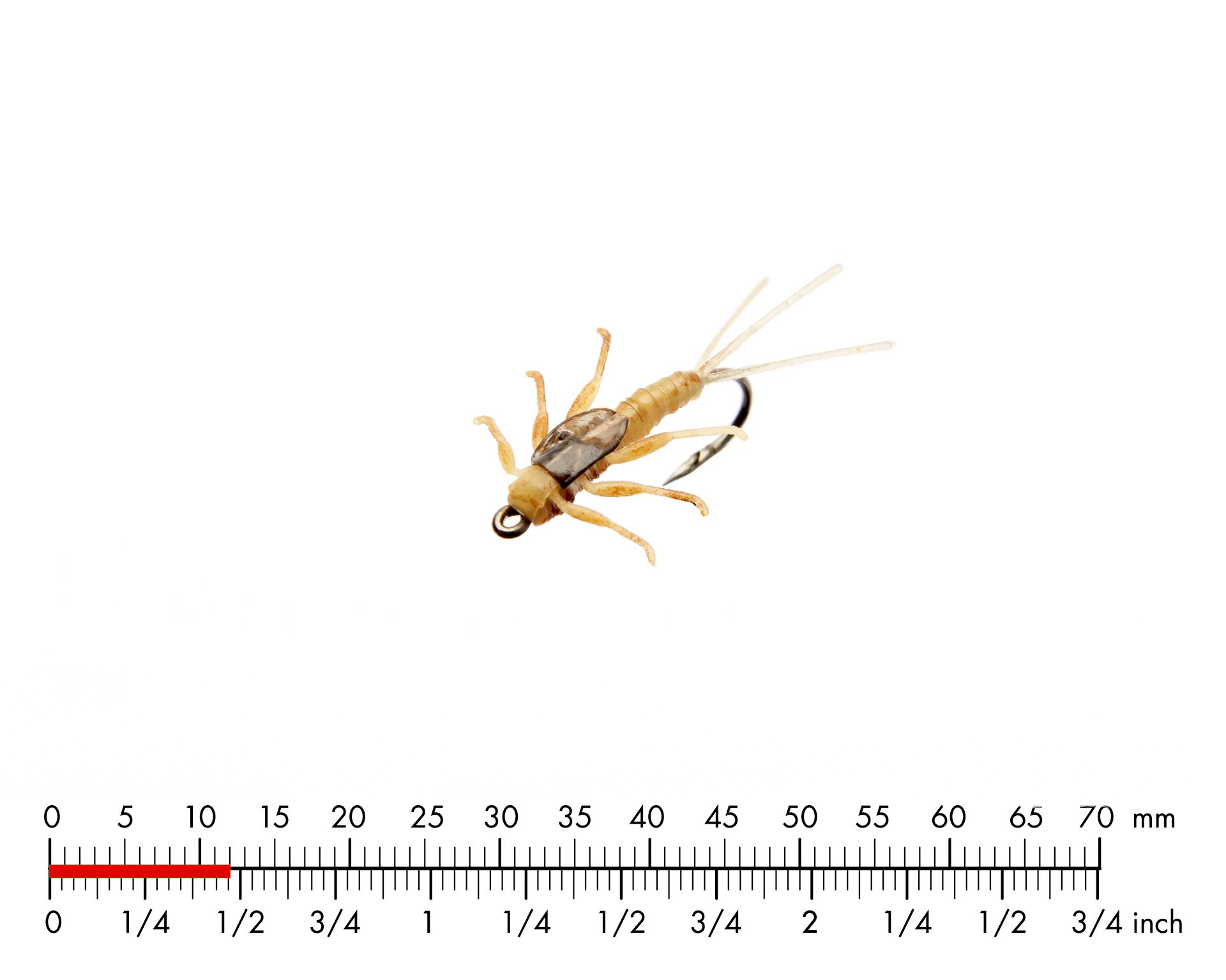 Dagslända Nymf 5 Sulphur