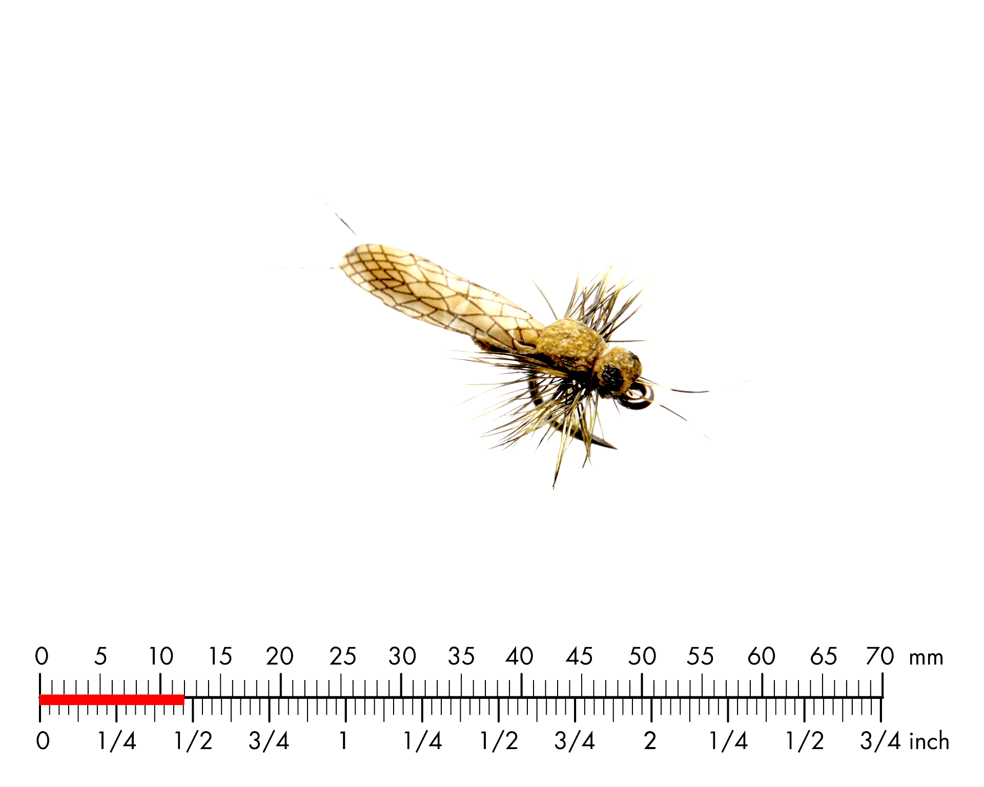 Bäckslända Vuxen 5 Yellow